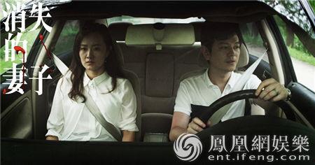 失踪：消失的妻子,揭开消失妻子的神秘面纱